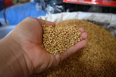 Aceh geleneksel pazarında kişniş tohumları, biji ketumbar