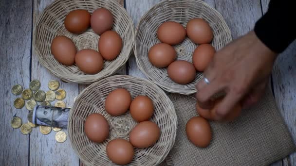 Don Put All Your Eggs One Basket Concept Eggs Rattan — Vídeo de Stock