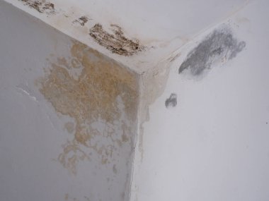 Duvarlardaki su sızıntısı yüzünden kirli duvarlar.
