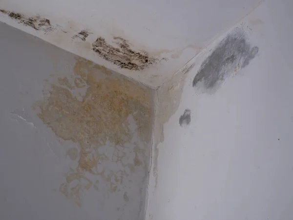 dirty walls due to water seepage on the walls