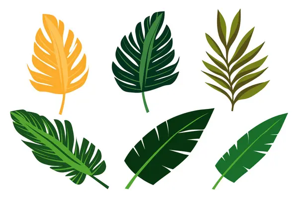 Tropische Blätter Setzen Vektorillustration — Stockvektor
