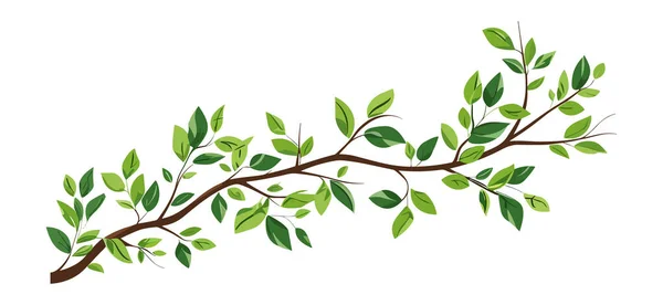 Árvore Ramo Ilustração Para Arte Parede Adesivo — Vetor de Stock