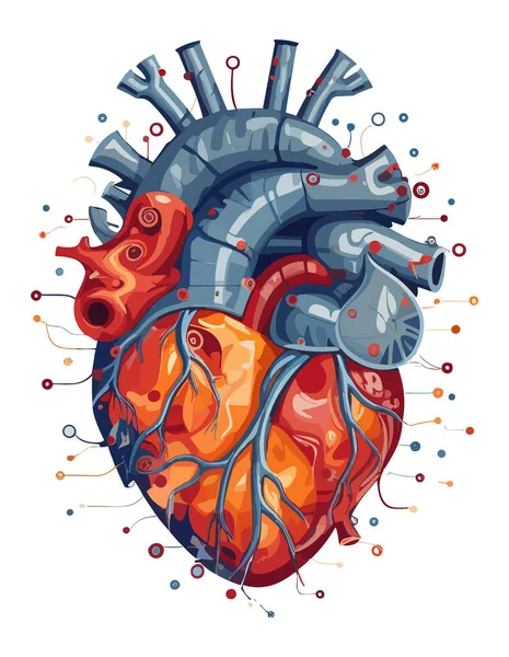 Illustration Des Menschlichen Herzvektors Auf Isoliertem Hintergrund — Stockvektor