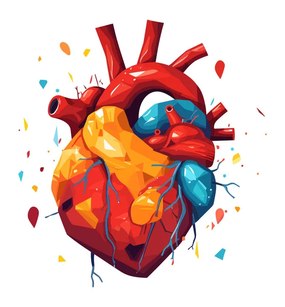 Людське Серце Векторна Ілюстрація Ізольованому Фоні — стоковий вектор