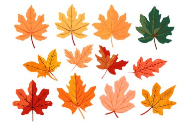 autumn leaves collection, set of leaves, leaves collection clipart