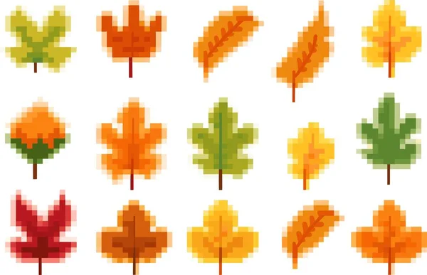 Sada Podzimních Listů — Stockový vektor