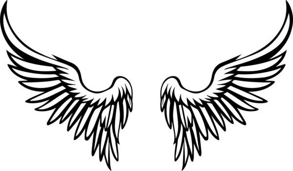 angel wings vector illustration for tattoo and sticker