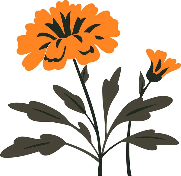 stock vector marigold vector for sticker and wall art