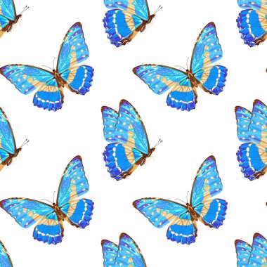 Mavi kelebekli kusursuz desen. Tropik böcek. Neon renkleri. Stok vektör illüstrasyonu beyaz arkaplanda izole edildi.