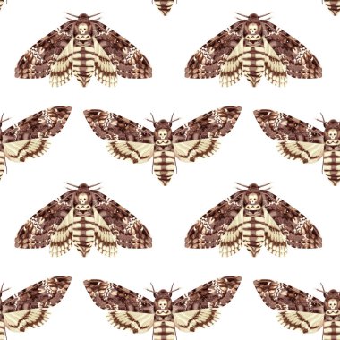 Seamless pattern with Deaths Head Hawk Moth. Nocturnal tropical butterfly. Mystical symbol. Stock vector illustration on a white background. clipart