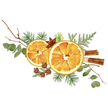 Kurumuş portakal, ladin, thuja, tarçın, köknar ve anason ile Noel süslemeleri. Buketlerin aroması. Hoş bir dekor. Ev yapımı tatil süslemeleri. Stok vektör illüstrasyonu.