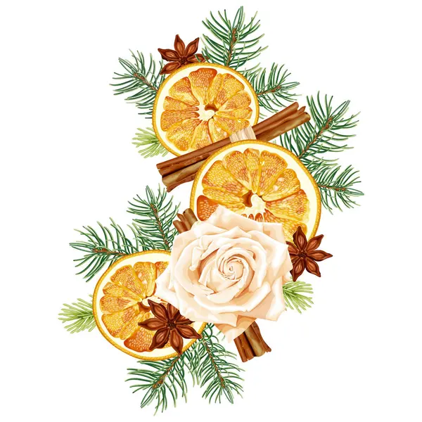 Ozdoby Świąteczne Suszoną Pomarańczą Świerkiem Cynamonem Różą Jodłą Anyżem Zapach — Wektor stockowy