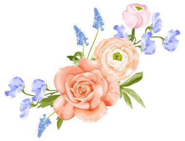 Gül, pembe ranunculus, mavi sümbül çiçeği ve tatlı bezelye. Beyaz arkaplanda stok vektör illüstrasyonu.