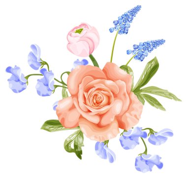 Gül, pembe ranunculus, mavi sümbül çiçeği ve tatlı bezelye. Beyaz arkaplanda stok vektör illüstrasyonu.