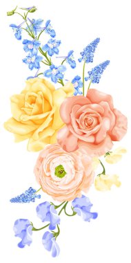 Sarı ve pembe güllü bahar buketi, mavi desenli çiçek, sümbül, ranunculus ve tatlı bezelye. Beyaz arkaplanda stok vektör illüstrasyonu.