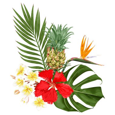 Kırmızı çiçekli tropikal bir buket, strelitzia, plumeria, ananas, canavar ve palmiye yaprakları. Beyaz arkaplanda stok vektör illüstrasyonu.
