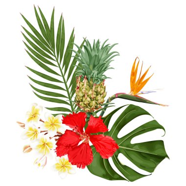 Summer tropical bouquet with red hibiscus flowers, strelitzia, plumeria, pineapple, monstera and palm leaves. Stock vector illustration on a white background. clipart