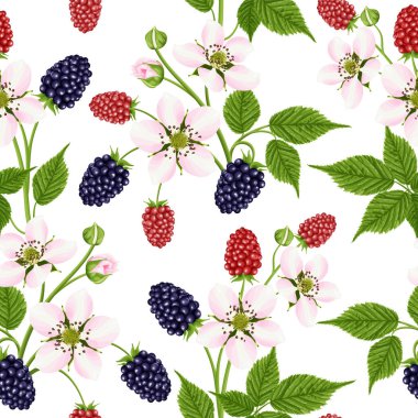 Çiçekli ve böğürtlenli kusursuz desen. Botanik geçmişi. Pembe çiçekli bahçe bitkisi, yeşil yapraklar ve parlak kırmızı ve siyah böğürtlen. Stok vektör illüstrasyonu.