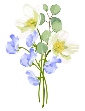 Beyaz şakayık, mavi bezelye, okaliptüs yaprağı ve pembe böğürtlen içeren bir bahar çiçeğinin vektör çizimi. Davetiyeler, afişler ya da tebrik kartları için mükemmel.