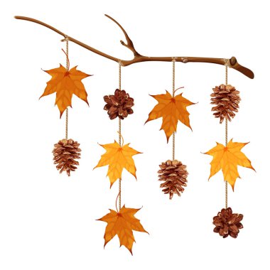 Sonbahar temalı, iplere asılmış akçaağaç yaprakları ve kozalaklarla süslenmiş bir dal. Bu kırsal, ormandan esinlenilmiş dekorasyon sonbahar kutlamaları için mükemmel. Vektör illüstrasyonu.