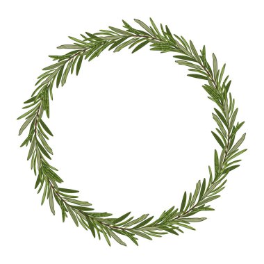 Biberiye çelenginin minimalist vektör çizimi, çevreci Noel dekorasyonu veya sürdürülebilir kutlamalar için mükemmeldir, dairesel tasarımda doğal yeşil yapraklar yer alır..