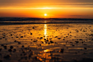 Kuzey Denizi 'nde gün batımı Sahilde.