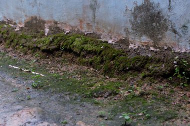 Kirli yosunlu duvar arkaplan dokusunun fotoğrafları