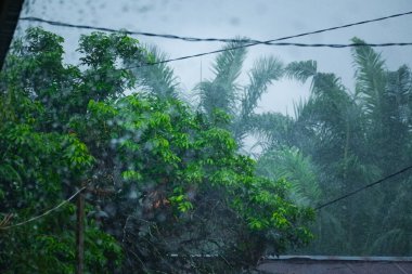 Yağmurda ıslanan bir evin atmosferi arka plan olarak uygundur.