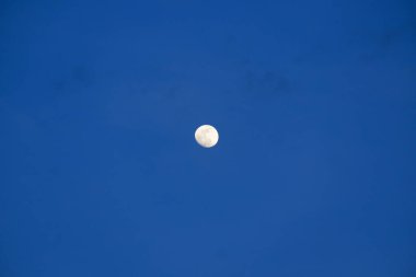 Akşamları mavi gökyüzünde ayın fotoğrafçılığı