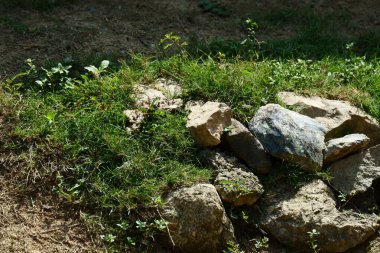 Tepesinde yeşil çimenler olan kayalar.