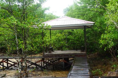 The cottage is surrounded by mangrove forests and is suitable as a natural tourist attraction