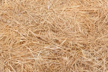 kuru pirinç saman arkaplan dokusu