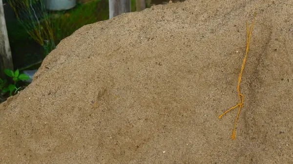 İnşaat amaçları için kullanılan bir yığın altın sarısı kum. Kumun dokusu açıkça görülebilir, yoğun ve temiz taneler gösteriyor..