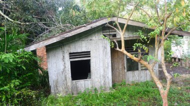 Yoğun tropikal bitki örtüsünün ortasında eski, terk edilmiş ve çürüyen bir ahşap ev. Kırık camlar ve soluk ahşap boyalar yaşını ve ıssızlığını gösteriyor..