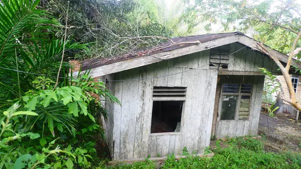 Yoğun tropikal bitki örtüsünün ortasında eski, terk edilmiş ve çürüyen bir ahşap ev. Kırık camlar ve soluk ahşap boyalar yaşını ve ıssızlığını gösteriyor..