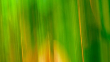 Dikey Hareket Bulanıklığıyla Renkli Soyut Doğa Arkaplanı