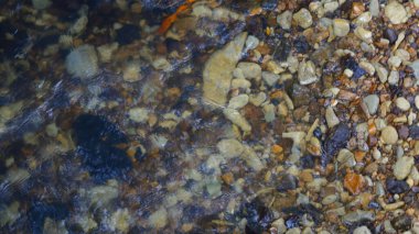 Renkli nehir yatağı taşlarının üzerinden akan temiz su.