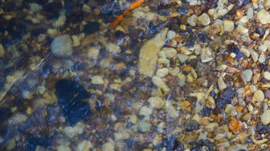 Renkli nehir yatağı taşlarının üzerinden akan temiz su.