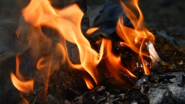 Canlı Alevlerle Yanan Kağıt ve Kül 'ün Yakın Çekimi