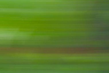 hareket bulanıklığının fotoğrafçılığı doğadan soyut yeşil doku arkaplanı