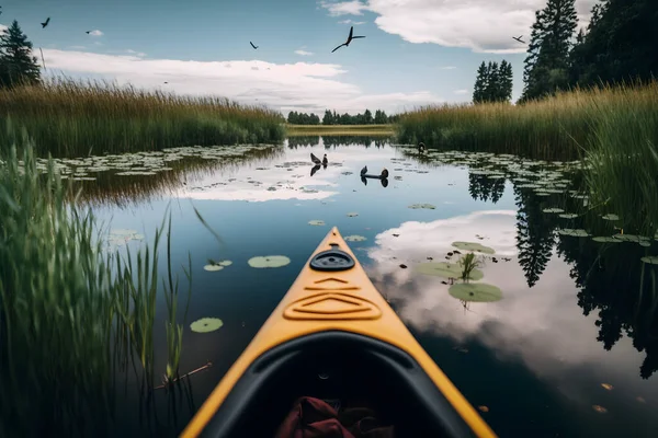 Kayaking on river in wildlife in summer