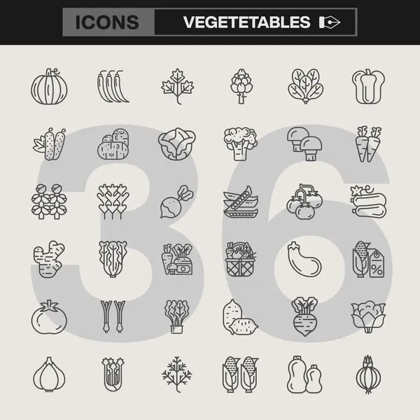 İçinde yaban havucu, salatalık, domates, balkabağı, brokoli, biber, marul ve daha fazlasının bulunduğu 36 vektör sebze ikonu. Menü tasarımları, bilgi grafikleri ve gıda ile ilgili projeler için ideal