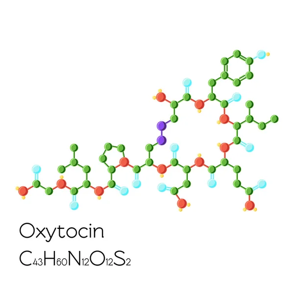 在白色背景上分离的催产素激素结构化学公式 平面式卡通矢量插图 — 图库矢量图片