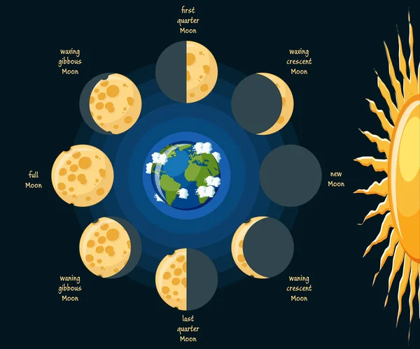 Grundlegendes Mondphasendiagramm Käsemond Seinen Verschiedenen Phasen Nach Position Relativ Zur — Stockvektor
