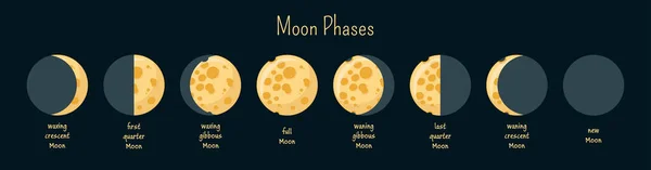 Phases Lunaires Infographies Cheese Moon Illustration Vectorielle Style Dessin Animé — Image vectorielle