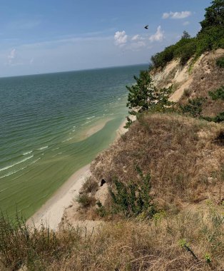 Doğanın güzel manzarası. Pyvykha Dağı Dinyeper 'in üstünde.