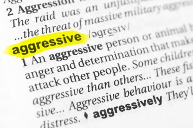 Vurgulanmış İngilizce kelime 