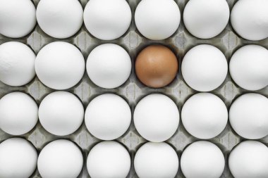 Sıralı, aynı tavuk yumurtalarından oluşan bir grup. Bu kütle ile çelişen bireylerin benzersizliğini gösterir. 