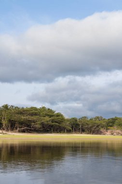 Brezilya 'da bulutlu gökyüzü olan Amazon nehri ve yerel bitki örtüsü manzarası