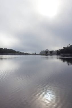 Brezilya'da Amazon Nehri sisli manzaraya görünümünü. Misty sahne sakinlik, huzur ve sükunet hissi uyandıran